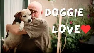 Saying Goodbye To My Dog 💔 The Grieving Process