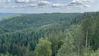Schwarzwald, Baiersbronn, Ellbachseeblick