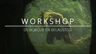 Workshop de fotograf&iacute;a de bosque en el hayedo de Belaustegi