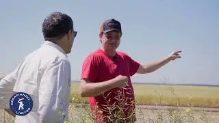 Desafiando L&iacute;mites 10 - 