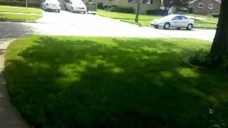 The Lawn Project Final (Revive my lawn)