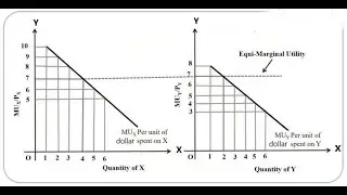 The Law of Equi-Marginal Utility | Consumer's Equilibrium #economics #microeconomics