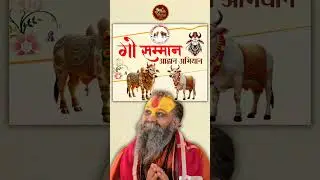 गौ सम्मान आह्वान अभियान !! #rajendradasjimaharaj #surshyam 