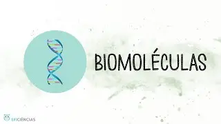 Biomoléculas - Biologia e Geologia 10ºano