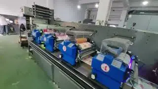 A Flexo Printing Machine for Adhesive Labels, Shrink Sleeves, and Inner Mold Labels.
