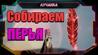Aion 2 В поисках перьев ● Как делать правильно?