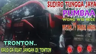 PERPAL ] TERLAHIR GANTENG YA...KALEM..[ STJ PUMBAA ] KENAPA KO...MANIA LIHAT PUMBA 😱JOGET GIRANG ?..