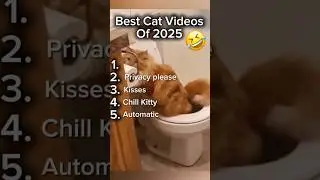 Best Cat Videos of 2025 | Funny Cat Videos #funny #cats #funnycats #hungergamestiktok