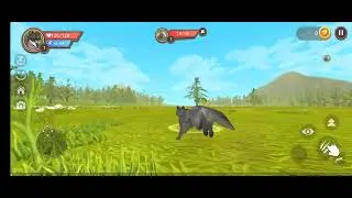 Greyhound Hunting 2022 | Dog race | Coursing | Racing | Wild rabbit | New Khargosh Ka Shikar 2022
