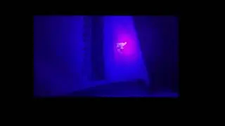 UV Flashlight 395nm Ultraviolet Torch With Pen Clip Portable AAA Batteri
