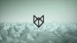 Sadgorillazz X SHRKWY - Ultimate