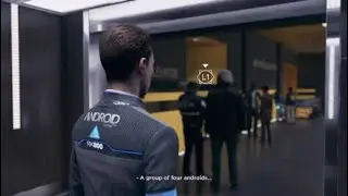 Dbh5