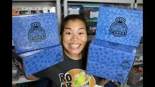 2017 Gamestop Black Friday Funko Mystery Boxes x5