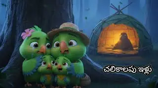 చలికాలపు ఇళ్లు , కపటకు కాకి