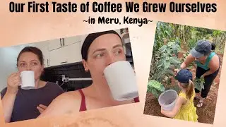 We Finally Tasted Coffee From Our Farm!! || Life in Kenya || VLOG