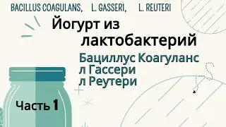 Йогурт из Лактобактерий Bacillus Coagulans, L. Gasseri, Реутери L. Reuteri. Полезные мелочи. Часть 1