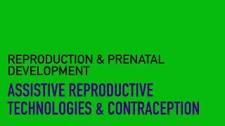 Assistive Reproductive Technologies & Contraception (Reproduction & Prenatal Development)