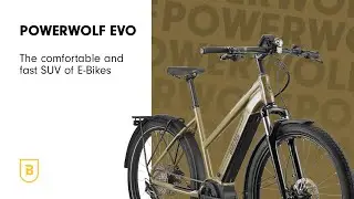 Breezer Powerwolf EVO 2.1 SM+ ST