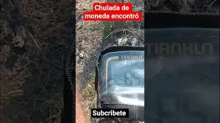 chulada de moneda encontr&oacute; 😱 #aventuras #metaldetecting #teledeteccion #naturaleza #deteccion