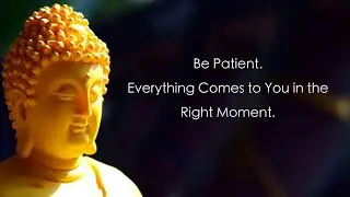 Best Buddha Quotes On Anger Management
