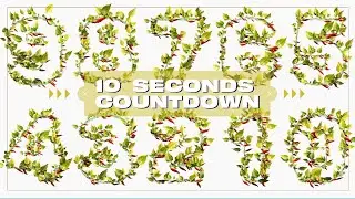 10 SECONDS COUNTDOWN  - Template renderizado