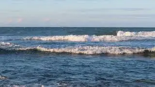 Dolphin's Smile  (David Crosby)