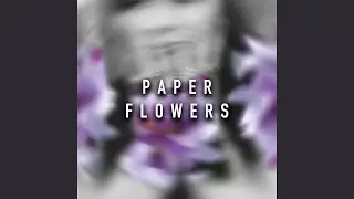 Paper Flowers