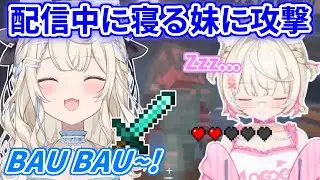 またしても配信中に寝るモココにイタズラをしかけるフワワさん【ホロライブ切り抜き/FUWAMOCO/フワモコ】