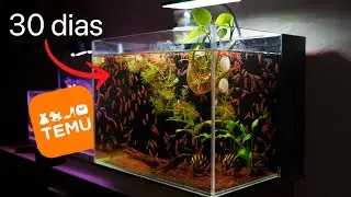 Set up a shrimp aquarium with Temu products