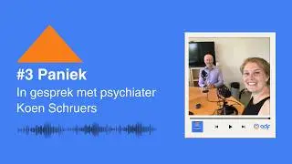 #3 Paniek | In gesprek met psychiater Koen Schruers