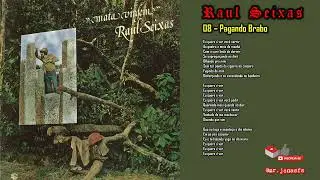 RAUL SEIXAS - 08 - Pagando Brabo [MATA VIRGEM/1978] (Com a letra da m&uacute;sica)