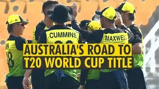 Never write them off: Champions Australia's journey to maiden T20 World Cup triumph