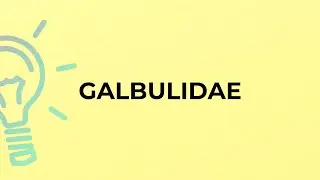 What is the meaning of the word GALBULIDAE?