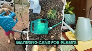 5 Best Watering Cans for Plants 2025! Grow Your Garden