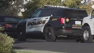 Roseville woman charged with child cruelty after 2023 drownings of twin boys