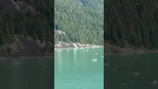 Alaskan cruise 2025- Endicott Arm