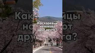 Как корейцы называют друг друга? #koreanculture #learnkorean #korea #southkorea #oppa #onni #hyung