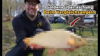 Feeder gegen Stippe - Duell der Balzer Teamangler (inkl. Firmenrundgang)