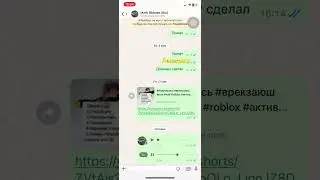 31 июля 2024 г.