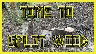 Getting practice, splitting the green wood. Need it out of the weather before winter hits