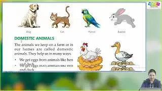 Ch 12 | Wisdom Publication  | EVS | Class 01 | Animal's World | For children