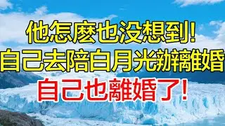 他怎麼也沒想到！自己去陪白月光辦離婚，自己也離婚了！