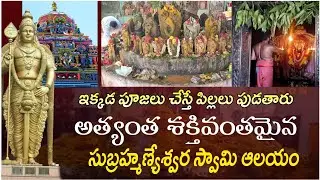 Most Powerful Lord Sri Subramanya Swamy Temple History | Eluru | Focus Now