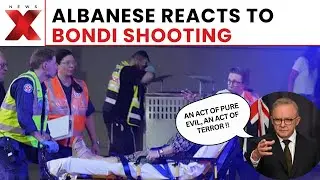 &lsquo;Dark Day in Australia&rsquo;: Albanese Calls for Gun Law Review After Bondi Shooting
