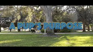 A Pup's Purpose