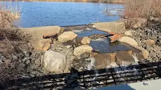 Wolfe's Pond Park: Spillway