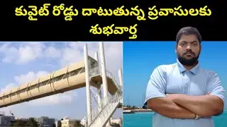Kuwait Expatriates || Good News For Expatriates Crossing Kuwait Roads || STV Telugu News