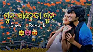Sun Saheba Sun &ndash; 4K Lofi Remix 🎶 | Odia Vintage Mood 🌿 | Slow + Reverb