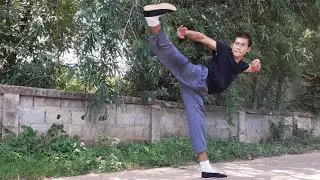 Shaolin Da Luohan quan 少林大羅漢拳