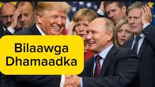 Khatarta 5 Febraayo Maxaa dhici kara? Ma Trump & Putin ayaa u heshiiyey reer Yurub?Falanqeyn sare.
